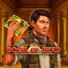Play the Book of Dead slot by Play'n GO on rewards-casino